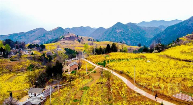 64a6c103-610f-45c0-bee1-ac15ebb66a75_1641300189